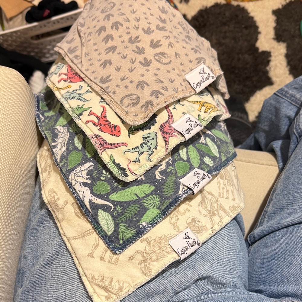 Copper Pearl Jurassic Park Baby Bandana Bibs Set